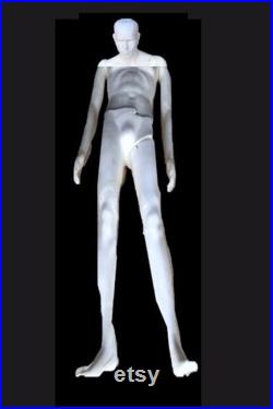 7ft elongated slender body form