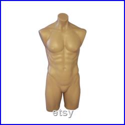 Adult Male Fleshtone Plastic Body Mannequin Torso Form Display with Optional Base P908F