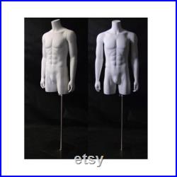 Adult Men's Fiberglass Torso Headless Mannequin with Thighs and Base TMwithS