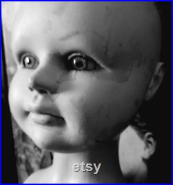 Antique Vintage Glass eyed Child Mannequin Bust