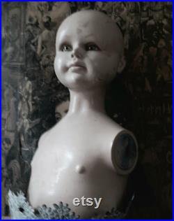 Antique Vintage Glass eyed Child Mannequin Bust