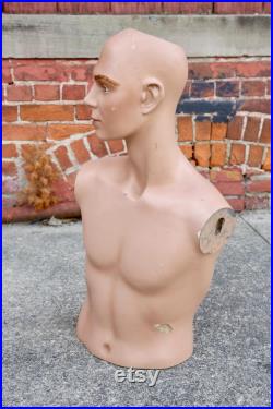 Antique Wolf Vine Greneker Mannequin Male hat Store display head bust Vintage countertop counter display male