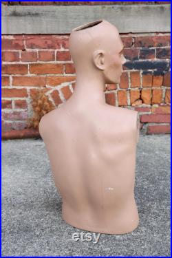Antique Wolf Vine Greneker Mannequin Male hat Store display head bust Vintage countertop counter display male