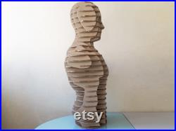 Body form Dress form Cardboard mannequin man Mannequin display DIY kit Store display Knitting gift Clothes display Hats scarf display Dummy