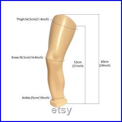 DE-LIANG Knee brace display mannequin,Leg Foot Ankle Mannequin for Knee Brace,Knee Wrist Protection Display Stand,Glossy Lucky Red 1 pcs