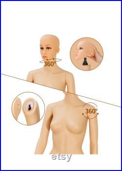 Female Full Body Mannequin Display Fits Size S M L, Adjustable 69'' Female Mannequin with base, Male Full Body Mannequin Adjustable 73