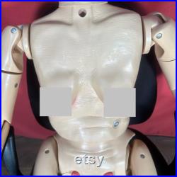 Geri Nursing Mannequin Manikin Geriatric Training Aid Doll Old Person Body Model
