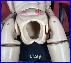 Geri Nursing Mannequin Manikin Geriatric Training Aid Doll Old Person Body Model