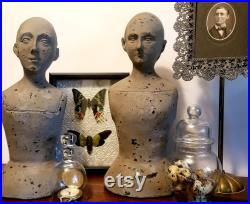 Mannequin Bust, Santos, Shop Display, Jewelry Holder, Necklace Holder, Bust, Statue