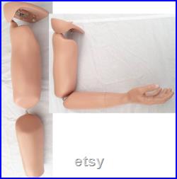 PAIR Articulated Bendable LIFESIZE Arms model AA