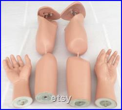 PAIR Articulated Bendable LIFESIZE Arms model AA