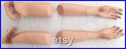 PAIR Articulated Bendable LIFESIZE Arms model AA