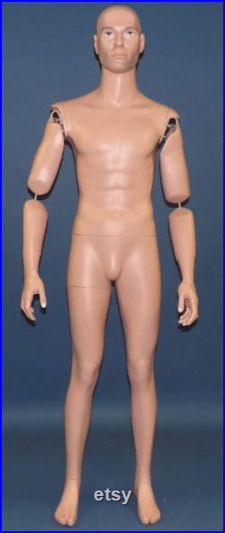 PAIR Articulated Bendable LIFESIZE Arms model AA