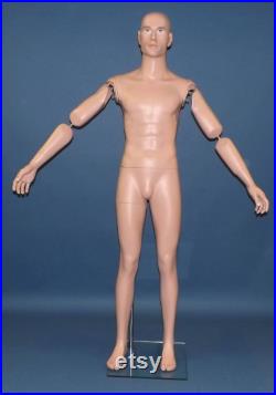 PAIR Articulated Bendable LIFESIZE Arms model AA