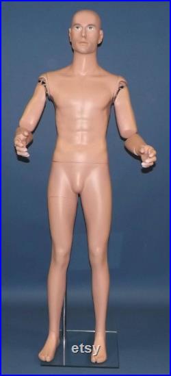 PAIR Articulated Bendable LIFESIZE Arms model AA