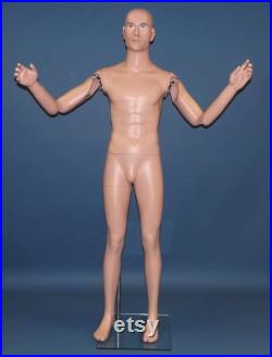 PAIR Articulated Bendable LIFESIZE Arms model AA