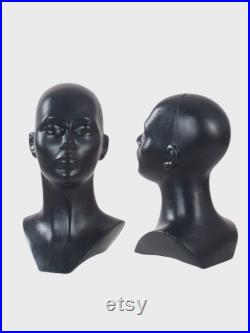 Pack of 5 Display forms, Display Plastic heads