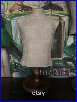 Rare Proportion London Male Torso Mannequin Wooden Base Shop Display Dressing Room Storage Matching Mannequin Available