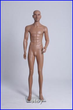 Realistic Hand Painted Small Size Military Male Persian Mannequin MDP-39