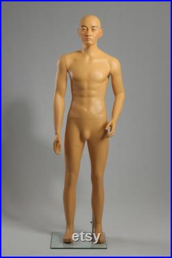 Realistic Small Size Military Male Japanese Asian Mannequin MDJ-01