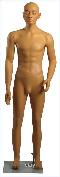 Realistic Small Size Military Male Japanese Asian Mannequin MDJ-01