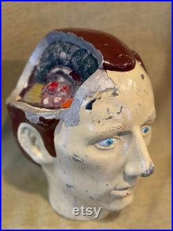 Strange Vintage Dissected Metal Head, Amusement Park Salvage, Star Trek