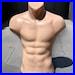 Torso Mannequin Flash Toned Stand Men 24 61 cm High Plastic Body