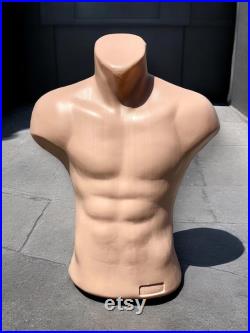 Torso Mannequin Flash Toned Stand Men 24 61 cm High Plastic Body