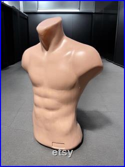 Torso Mannequin Flash Toned Stand Men 24 61 cm High Plastic Body