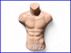 Torso Mannequin Flash Toned Stand Men 24 61 cm High Plastic Body