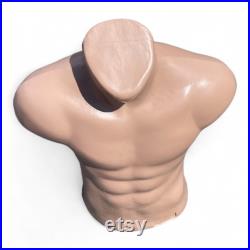 Torso Mannequin Flash Toned Stand Men 24 61 cm High Plastic Body