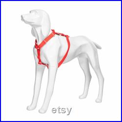 USAKHV Dog Mannequin Fiberglass Animal Store Display Stand Model G5-W Decoration X-LARGE