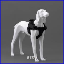 USAKHV Dog Mannequin Fiberglass Animal Store Display Stand Model G5-W Decoration X-LARGE