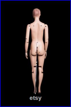 USAKHV Female Realistic Joints Adjustable Fiberglass Mannequin Full Body Model Stand FM01