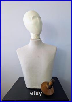 Upper body mannequin with removable oak insert and head