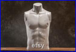 VINTAGE Torso male MANNEQUIN, White Dummy Torso, Vintage human body decor