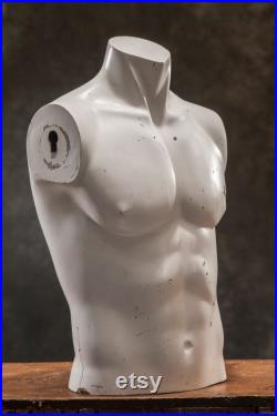 VINTAGE Torso male MANNEQUIN, White Dummy Torso, Vintage human body decor