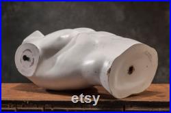 VINTAGE Torso male MANNEQUIN, White Dummy Torso, Vintage human body decor