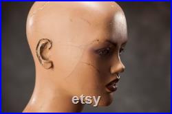 VINTAGE half body female MANNEQUIN from 1980s, Lady Dummy Torso