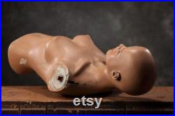 VINTAGE half body female MANNEQUIN from 1980s, Lady Dummy Torso