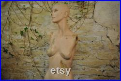 Vintage 1960's Mannequin Bust