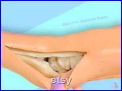 Vintage Life Size Silicone Foot and Leg. Rare