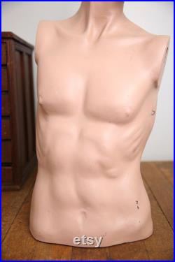 Vintage Male Mannequin Realistic Full Size body antique store display head bust hat stand