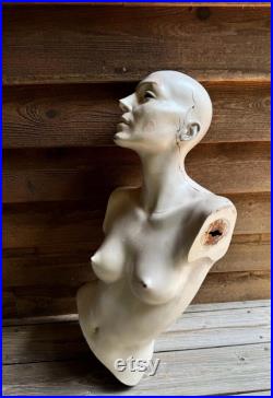 Vintage Mannequin Adel Rootstein Woman Torso Head Human Form Pearlescent Display Photo Op England US