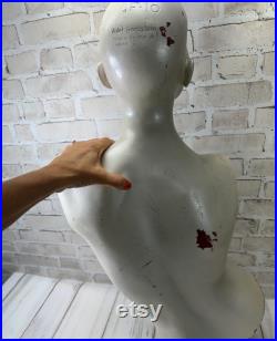 Vintage Mannequin Adel Rootstein Woman Torso Head Human Form Pearlescent Display Photo Op England US