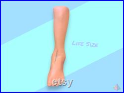 Vintage Realistic anatomical Silicone foot Leg.