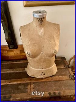 Vintage Wolf Mannequin, Size 34B DressForm, Art Doll Mannequin Sculpture, 22 inch Vintage New York Dress Form Display Sculpture