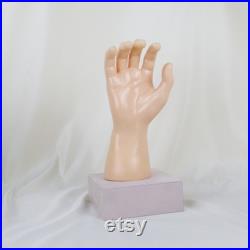 White Male Mannequin Hand Jewelry Ring Holder, Glove Display
