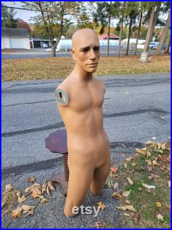 Wolf and vine mannequin,fashion, fashion mannequin, vintage mannequin, male torso mannequin,