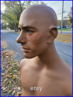 Wolf and vine mannequin,fashion, fashion mannequin, vintage mannequin, male torso mannequin,
